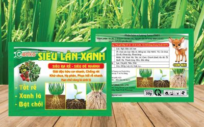 SIÊU LÂN XANH 50G