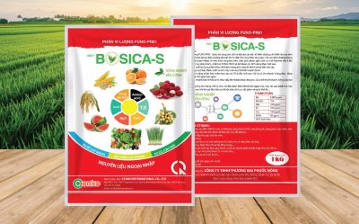 VI LƯỢNG BOSICA 1KG